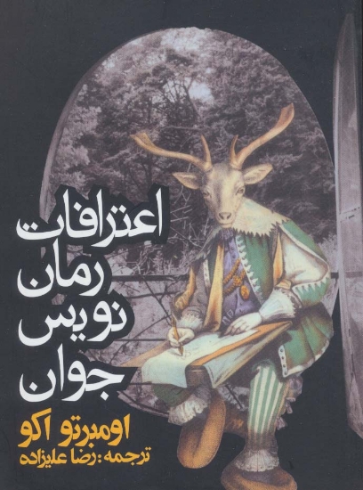 تصویر  اعترافات رمان نویس جوان